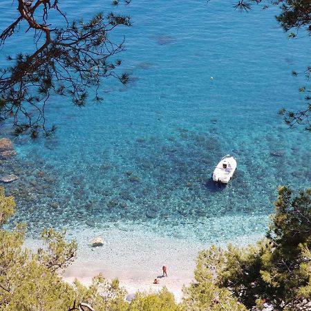 "L'Hippocampe", Climatise, 60 M2 , 2 Chambres, Tres Calme, Plage Des Sablettes Et Commerces A 3 Minutes A Pied, Wifi, Parking Gratuit, Lit King Size La Seyne-sur-Mer Luaran gambar