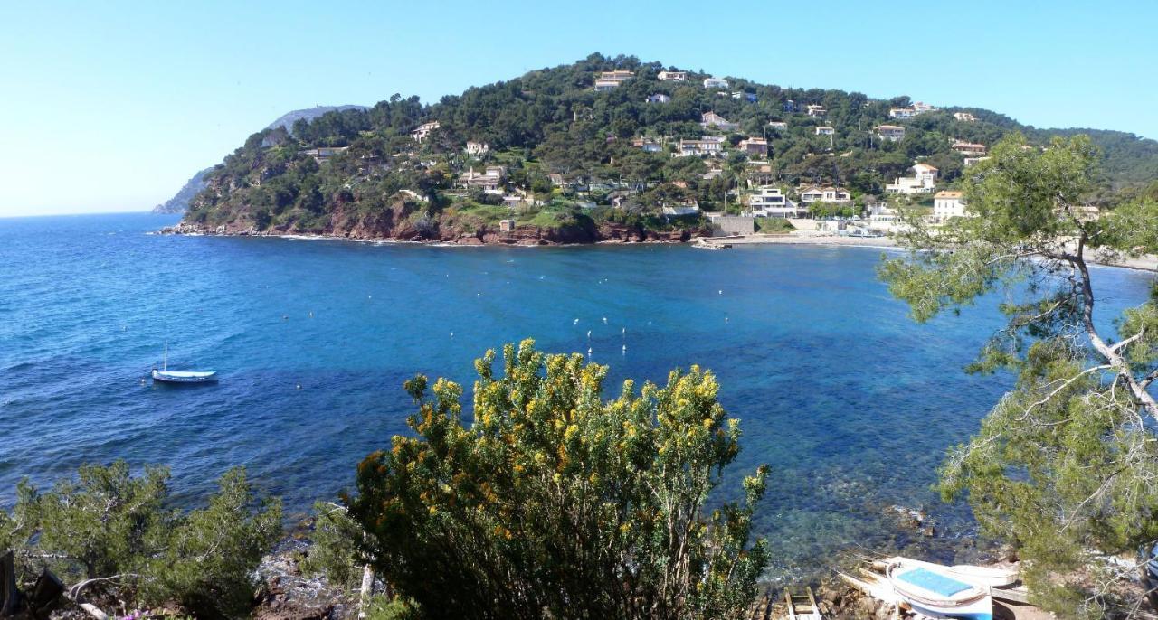 "L'Hippocampe", Climatise, 60 M2 , 2 Chambres, Tres Calme, Plage Des Sablettes Et Commerces A 3 Minutes A Pied, Wifi, Parking Gratuit, Lit King Size La Seyne-sur-Mer Luaran gambar