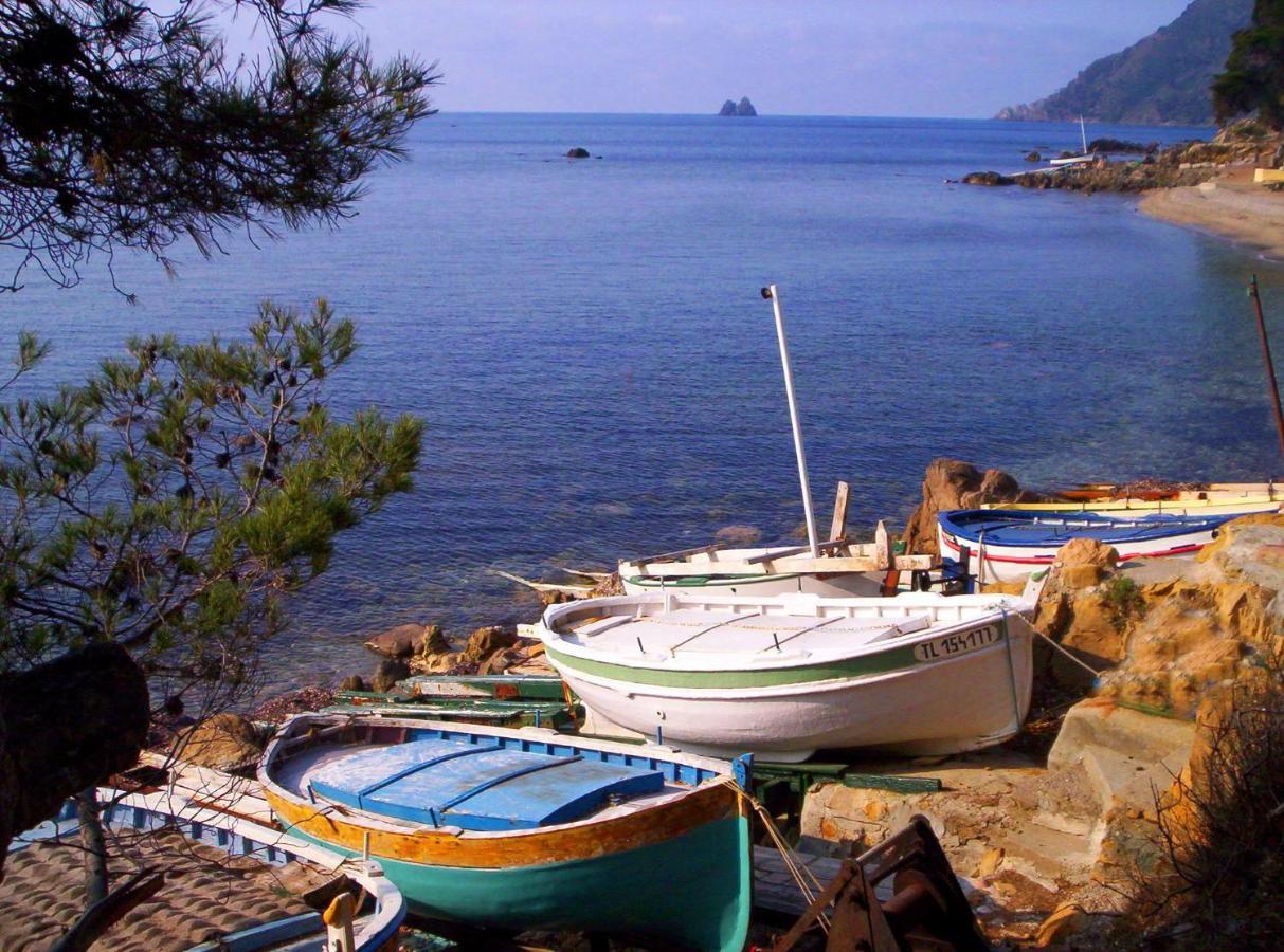"L'Hippocampe", Climatise, 60 M2 , 2 Chambres, Tres Calme, Plage Des Sablettes Et Commerces A 3 Minutes A Pied, Wifi, Parking Gratuit, Lit King Size La Seyne-sur-Mer Luaran gambar