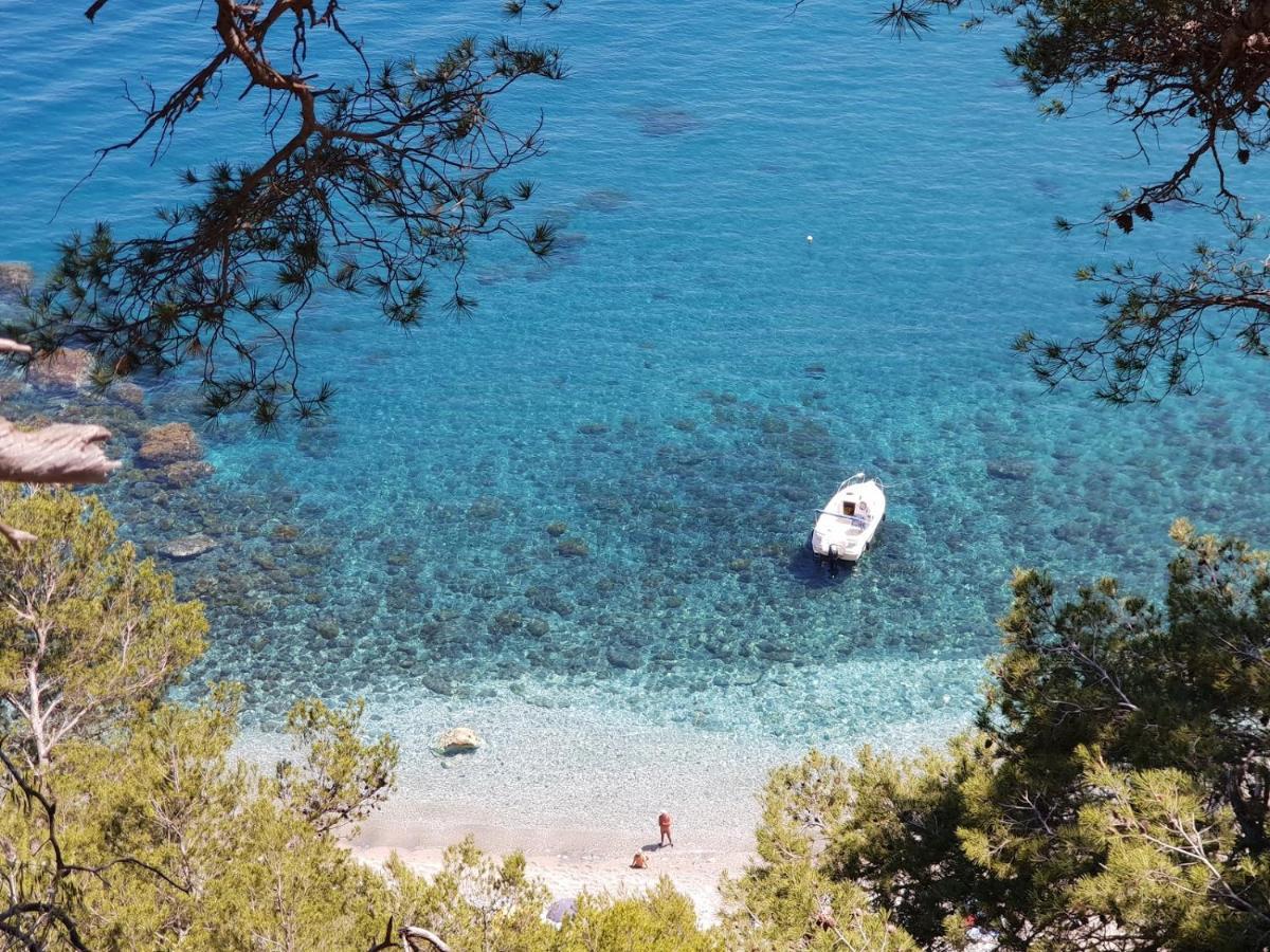 "L'Hippocampe", Climatise, 60 M2 , 2 Chambres, Tres Calme, Plage Des Sablettes Et Commerces A 3 Minutes A Pied, Wifi, Parking Gratuit, Lit King Size La Seyne-sur-Mer Luaran gambar